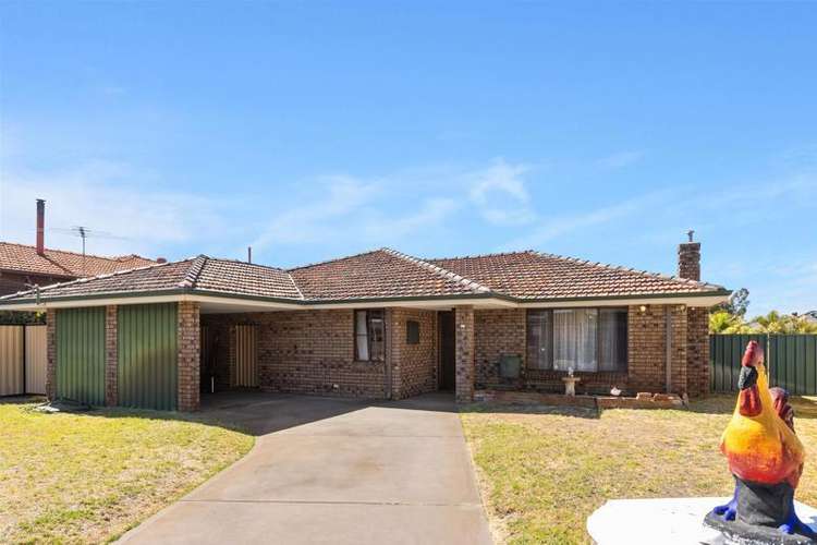 Main view of Homely house listing, 16 Mottram Place, Morley WA 6062