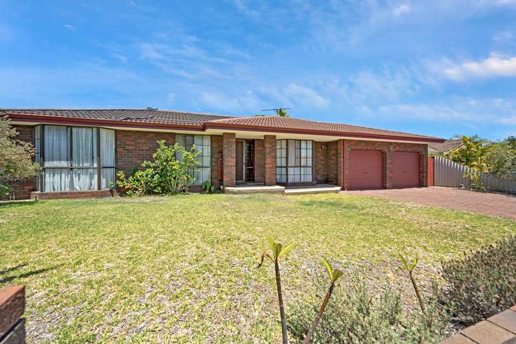 Main view of Homely house listing, 16 Landrail Road, Stirling WA 6021