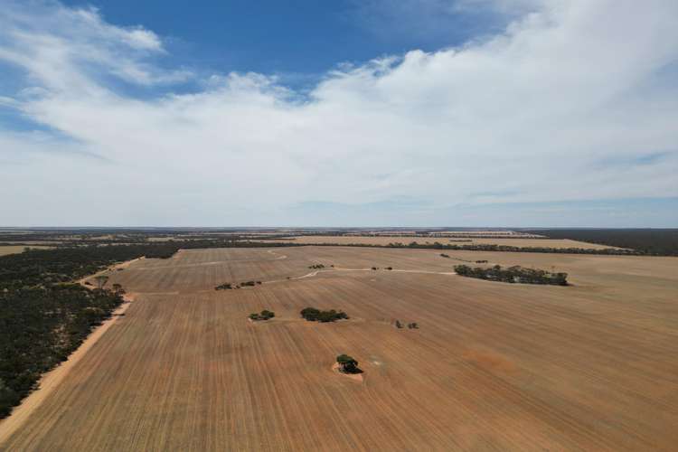 Main view of Homely ruralOther listing, 6865 Emu Fence Road, Skeleton Rock WA 6426