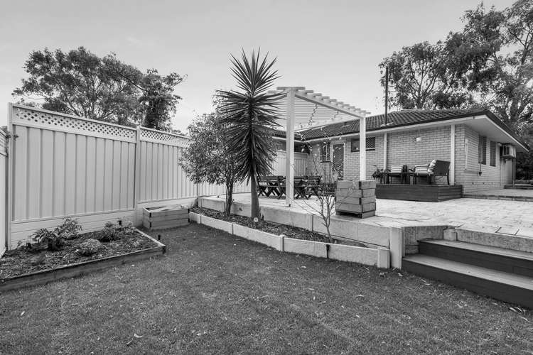 Main view of Homely unit listing, 1/244 Wilding Street, Doubleview WA 6018