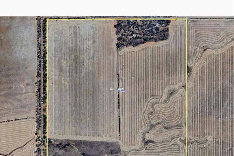 Lot/21364 Purdy Road, South Kununoppin WA 6489