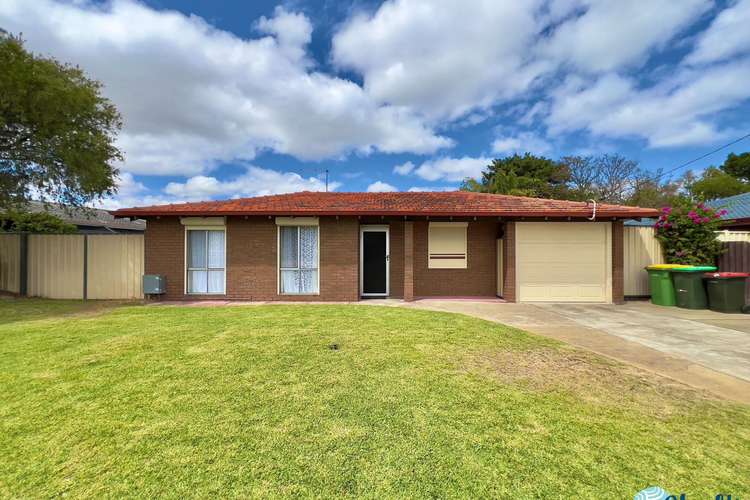 Main view of Homely house listing, 24 Willmott Drive, Cooloongup WA 6168