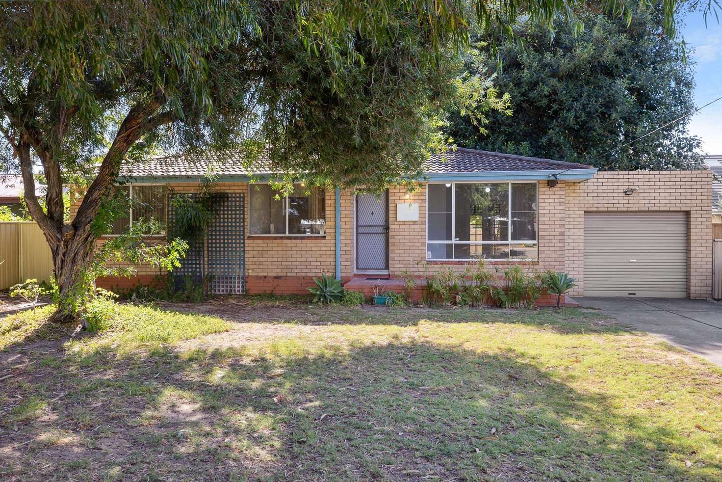 Main view of Homely house listing, 141 Sydenham Street, Rivervale WA 6103