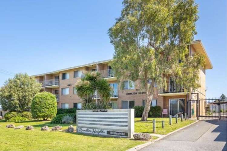 Main view of Homely house listing, 34/150 Healy Road, Hamilton Hill WA 6163