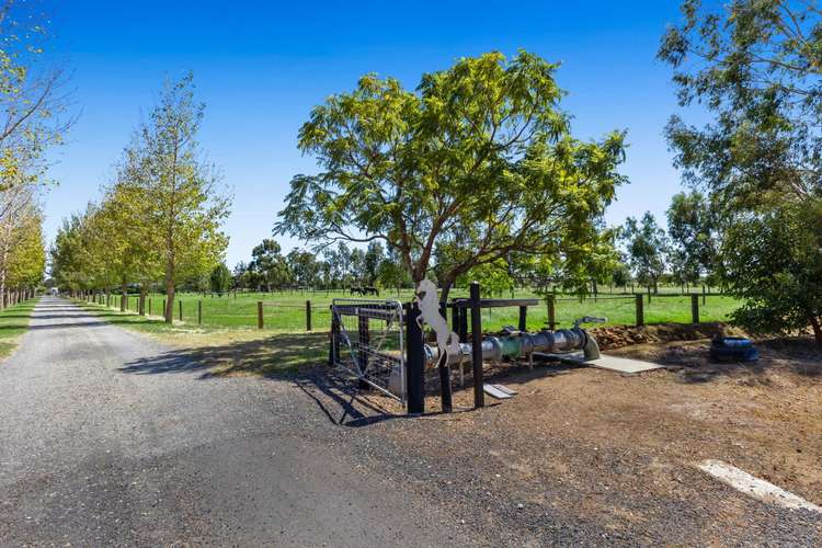 Main view of Homely house listing, 12020 South Western Highway, Benger WA 6223