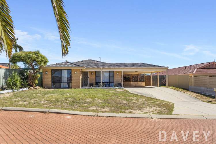 Main view of Homely house listing, 38 Mangrove Circuit, Banksia Grove WA 6031