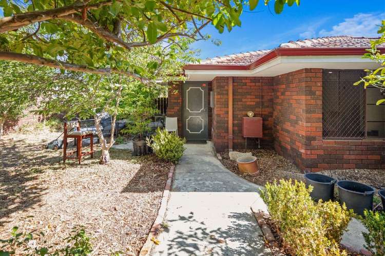 Main view of Homely house listing, 11 Eighth Avenue, Maylands WA 6051