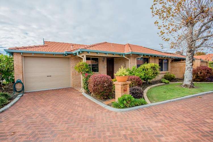 Main view of Homely retirement listing, 50/177 Dampier Avenue, Kallaroo WA 6025