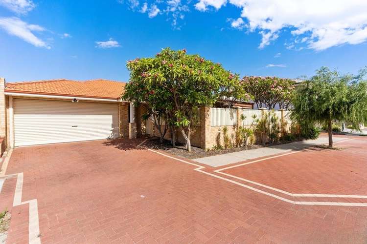 Main view of Homely house listing, 1/294 Albert Street, Balcatta WA 6021