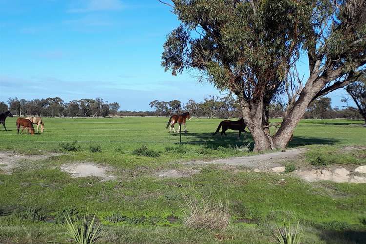 Main view of Homely lifestyle listing, Lot/240 Great Eastern Highway, Meckering WA 6405