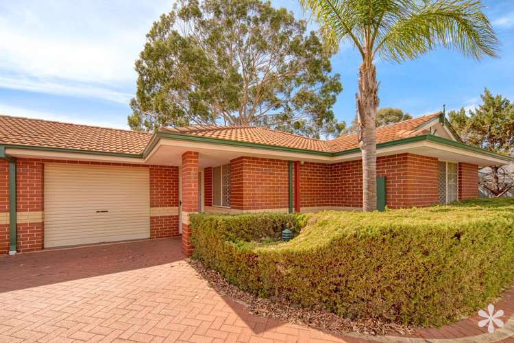 5/40 Wyong Road, Bentley WA 6102