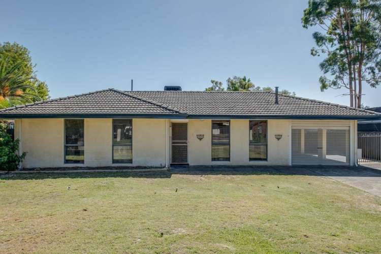 Main view of Homely house listing, 19 Elvington Way, Thornlie WA 6108