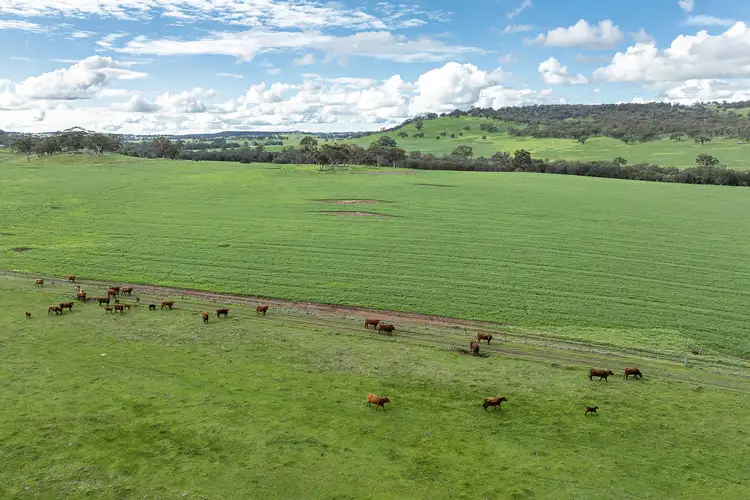 Fifth view of Homely land listing, 520 Bindoon Moora Rd, Bindoon WA 6502