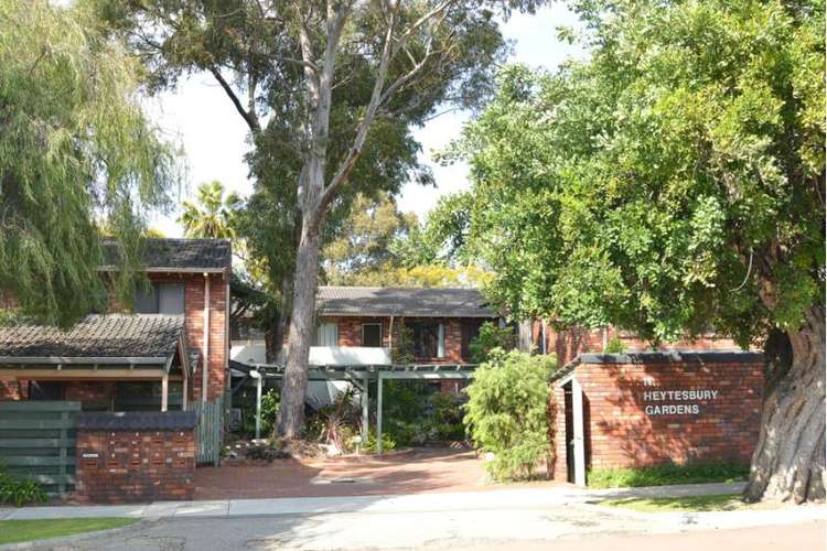 Main view of Homely villa listing, 8/11 Heytesbury Road, Subiaco WA 6008