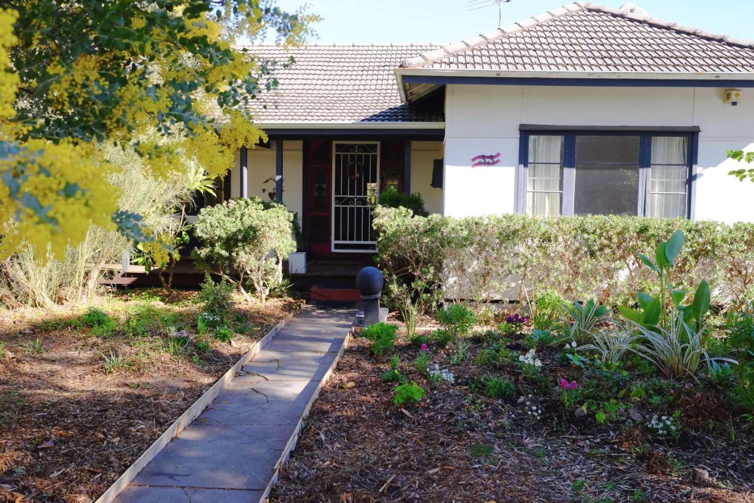 Main view of Homely house listing, 33 Tuckett Street, Carlisle WA 6101