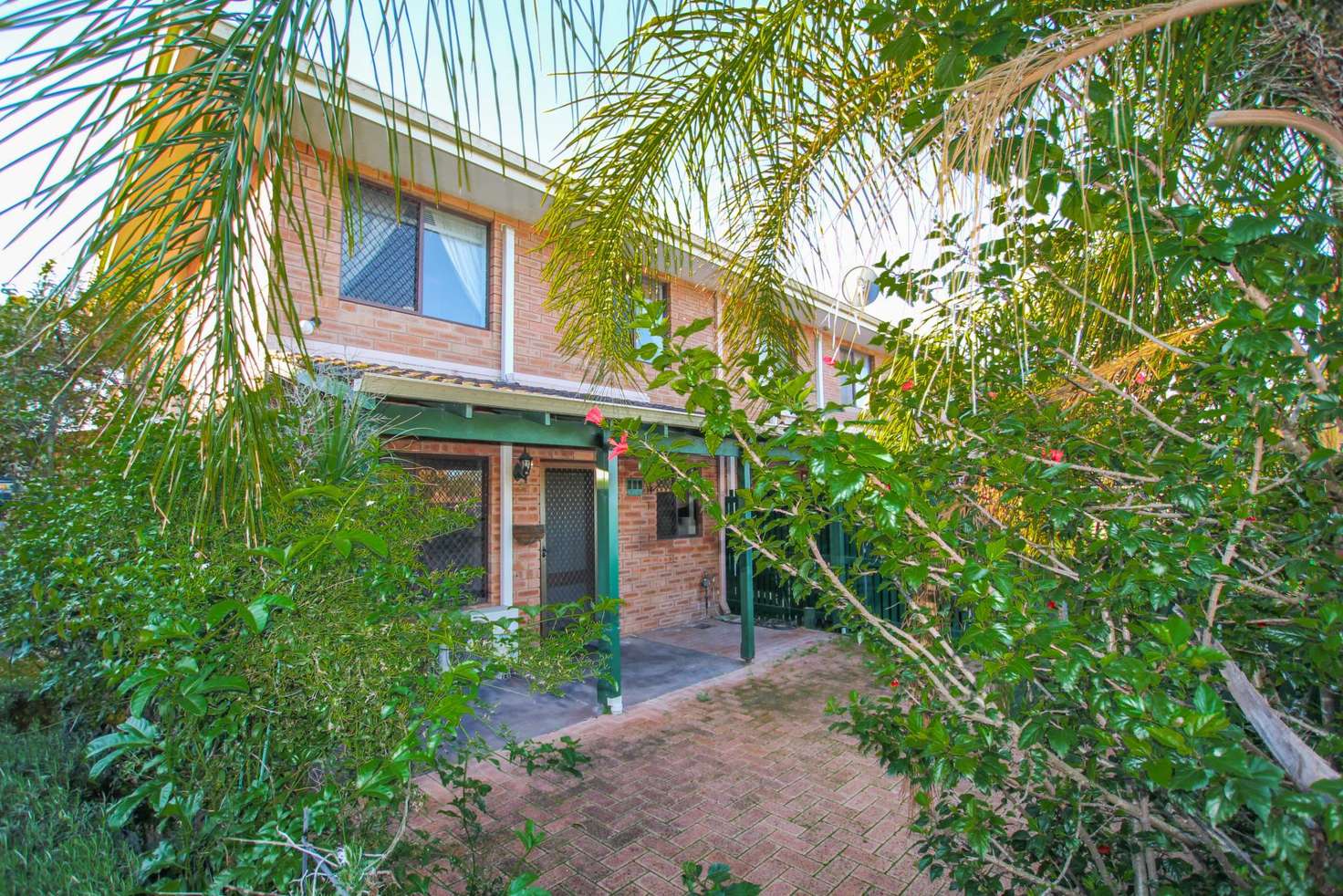 Main view of Homely townhouse listing, 29/390 Hector Street, Yokine WA 6060