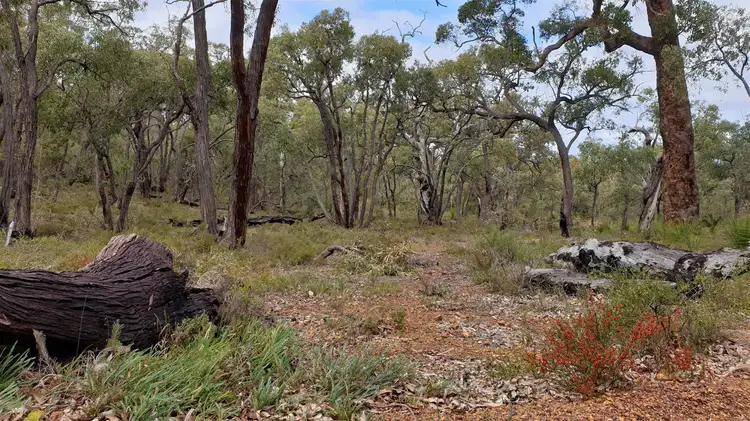 Third view of Homely land listing, 127 Forrest Hills Parade, Bindoon WA 6502