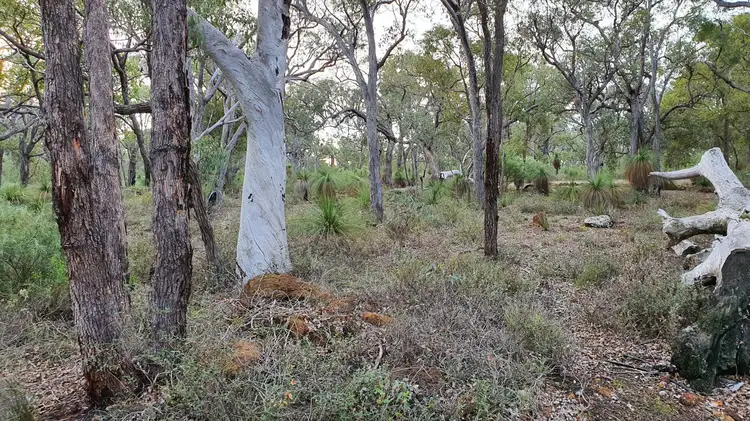 Fourth view of Homely land listing, 371 Forrest Hills Parade, Bindoon WA 6502