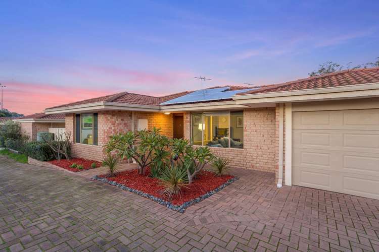 Main view of Homely house listing, 46A Albemarle Street, Doubleview WA 6018