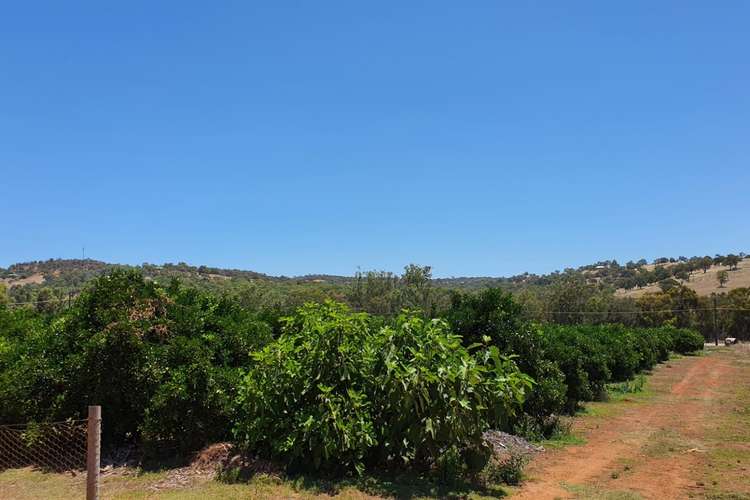 Second view of Homely residentialLand listing, Lot 2, Gt Northern Highway, Bindoon WA 6502