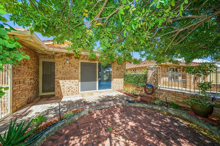 Main view of Homely villa listing, 1/43 Norton Drive, Dianella WA 6059