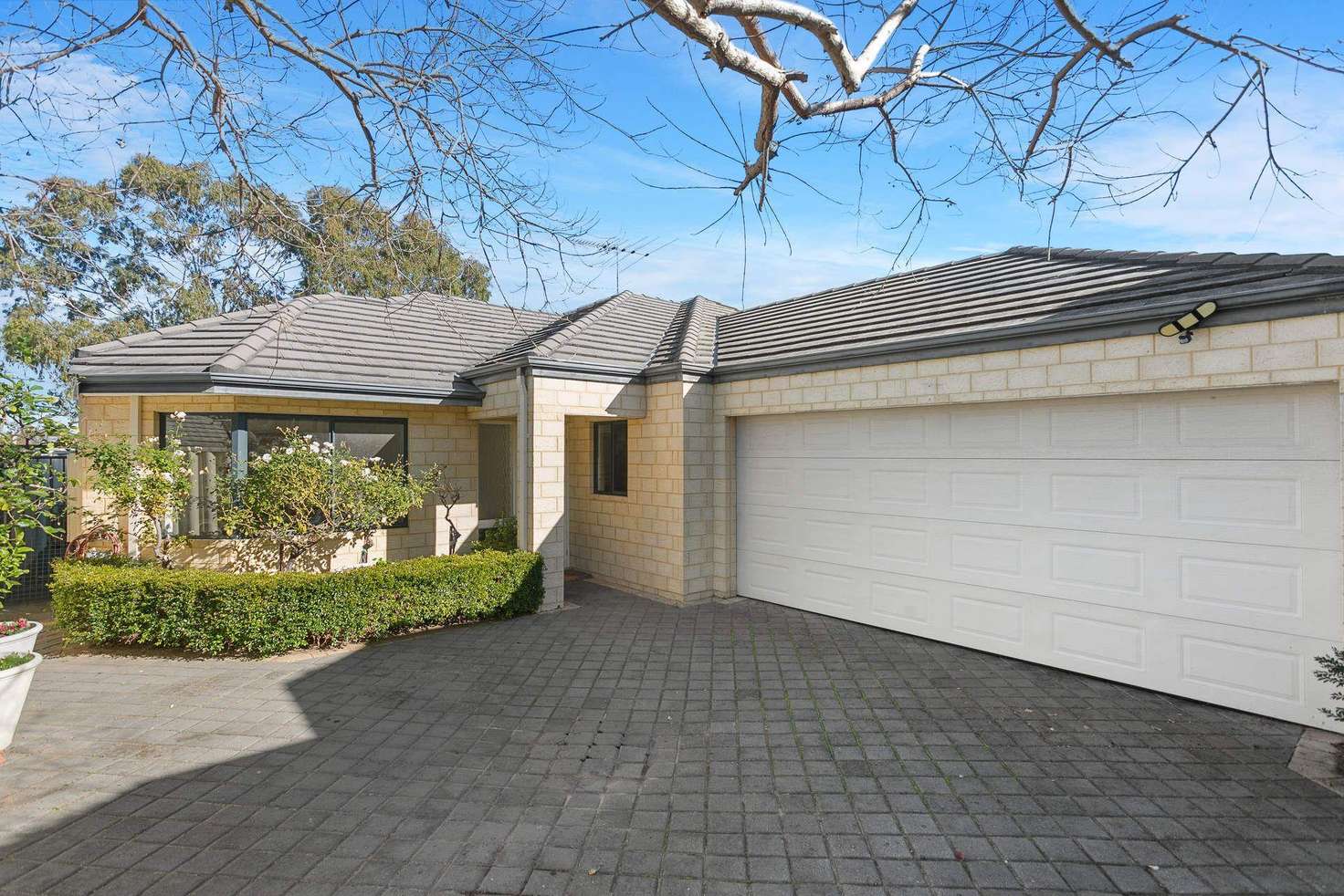 Main view of Homely townhouse listing, 56C Second Avenue, Claremont WA 6010