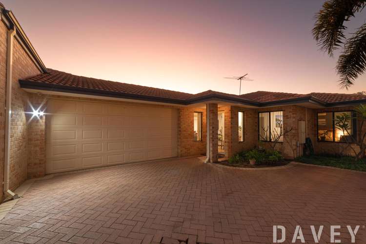 Main view of Homely house listing, 36B Beatrice Street, Doubleview WA 6018