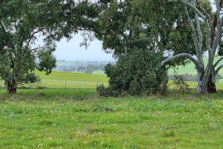 Main view of Homely residentialLand listing, Lot 66, Starbush Way, Ginginup WA 6503