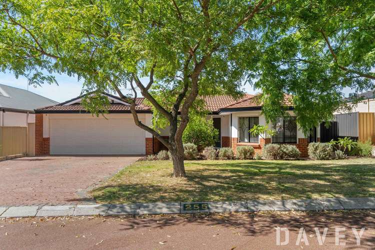 255 Kingsway, Darch WA 6065