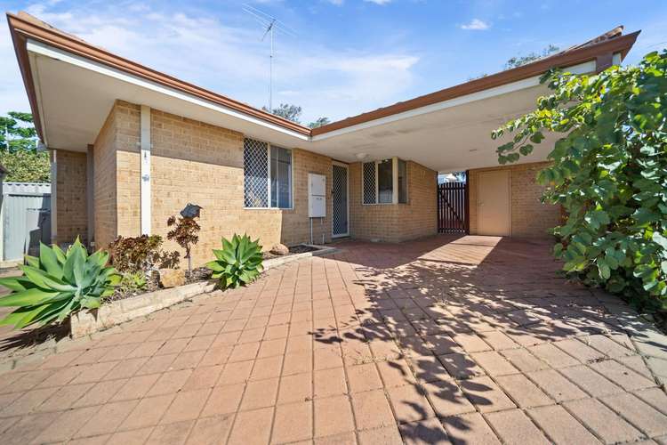 37B Barnes Street, Innaloo WA 6018