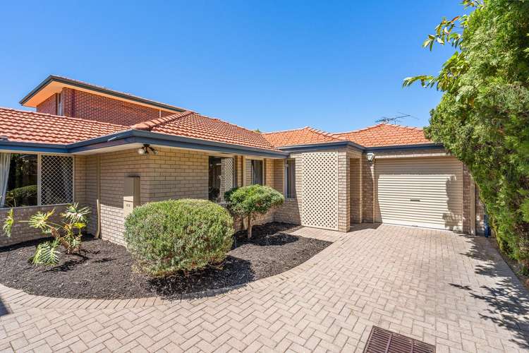 Main view of Homely villa listing, 3/17 Albemarle Street, Scarborough WA 6019