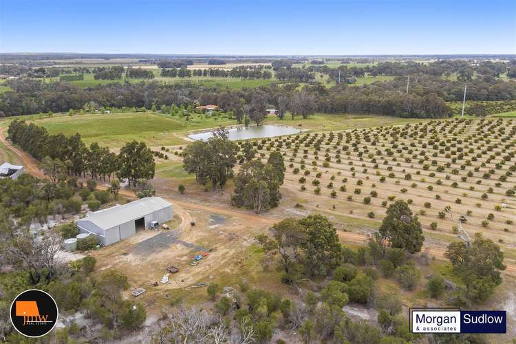 Fifth view of Homely farmlet listing, 1012 WELD ROAD, Capel River WA 6271