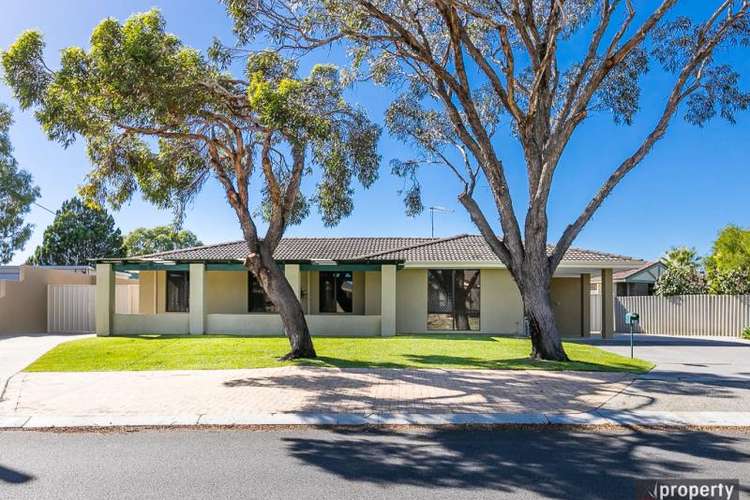 19 Britannia Way, Craigie WA 6025