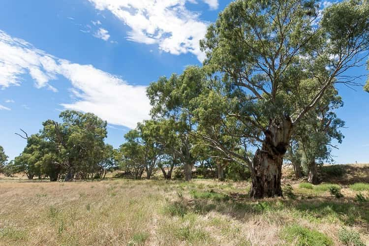 Seventh view of Homely residentialLand listing, 2284 Ridley Road, Angas Valley SA 5238