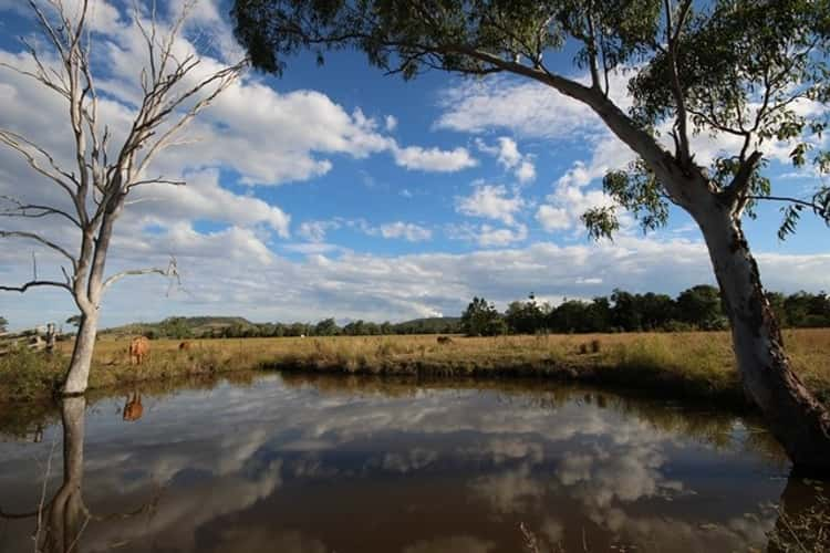 Fourth view of Homely lifestyle listing, 14 Silverleaves Road, Mount Beppo QLD 4313