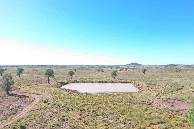 Sixth view of Homely ruralOther listing, 1003 Nebine Road, Morven QLD 4468