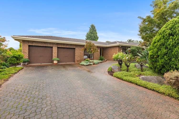 Main view of Homely house listing, 11 Lark Court, Wynn Vale SA 5127