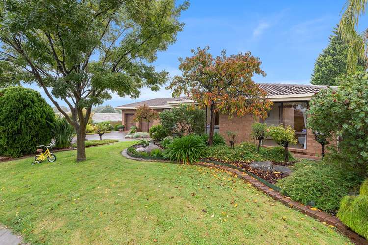 Second view of Homely house listing, 11 Lark Court, Wynn Vale SA 5127