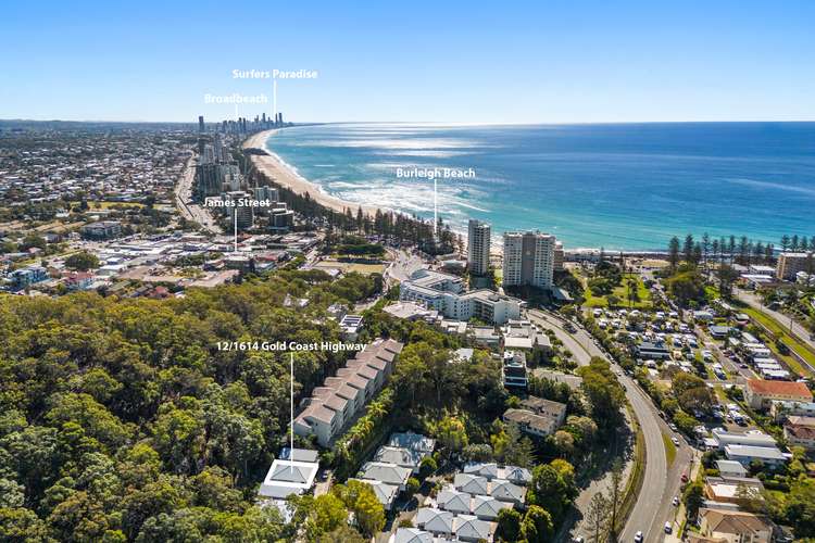 12/1614 Gold Coast Highway, Burleigh Heads QLD 4220