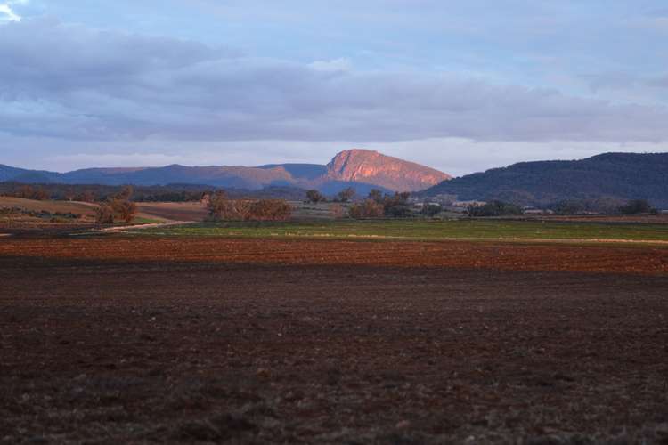 Main view of Homely cropping listing, " Wonga ", Bellata NSW 2397