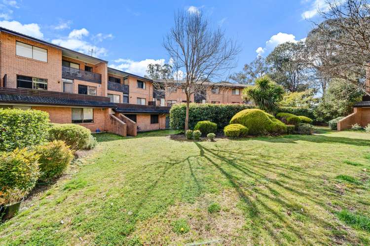 Main view of Homely apartment listing, 31/17 Medley Street, Chifley ACT 2606