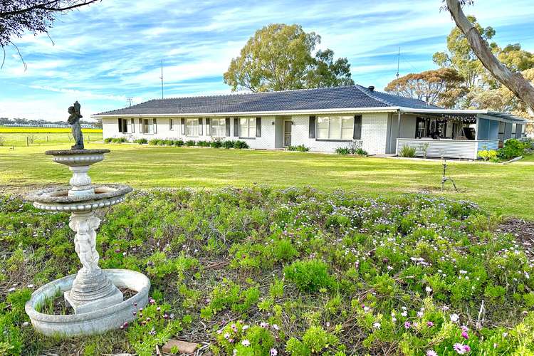 20 Hubl Road, Bordertown SA 5268