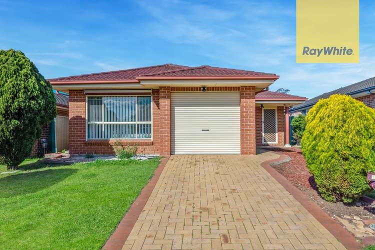 19 Webb Place, Minto NSW 2566