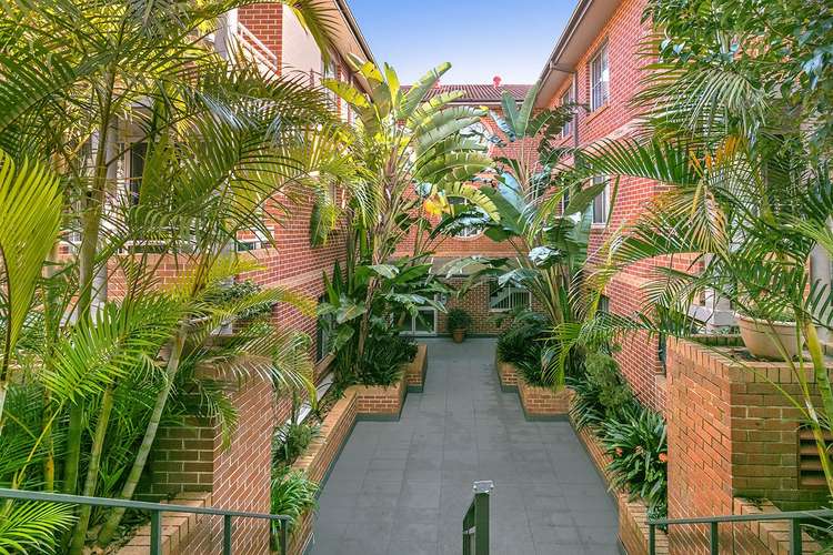 Main view of Homely unit listing, 6/305 Victoria Avenue, Chatswood NSW 2067