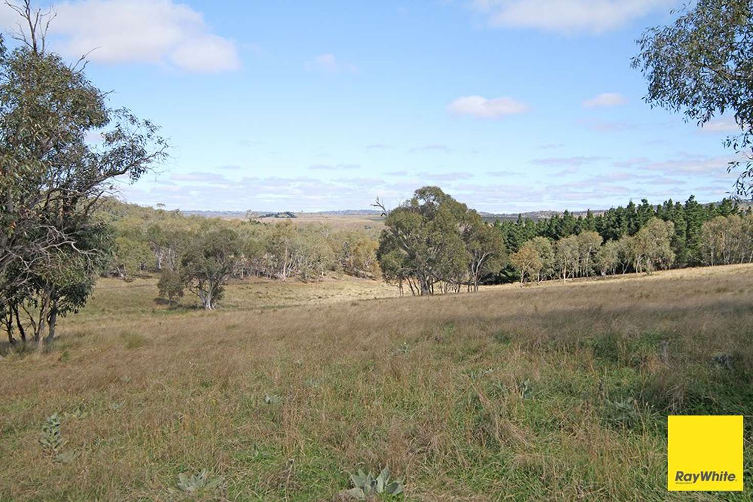 Main view of Homely residentialLand listing, 757 Caddigat Road, Dry Plain NSW 2630