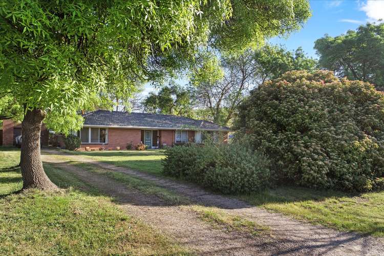 Main view of Homely house listing, 184 Malcolm Street, Mansfield VIC 3722