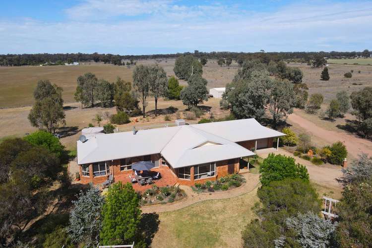 449 Mid Western Highway, West Wyalong NSW 2671