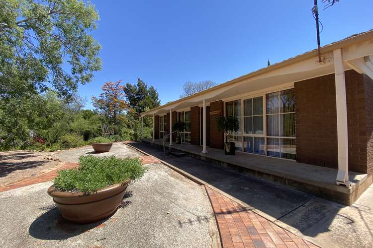 Main view of Homely house listing, 7 Whiting Street, Stirling North SA 5710