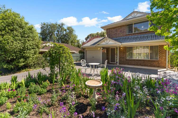 3B Abbaron Court, Aberfoyle Park SA 5159