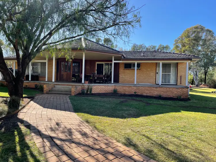1 Boree Drive